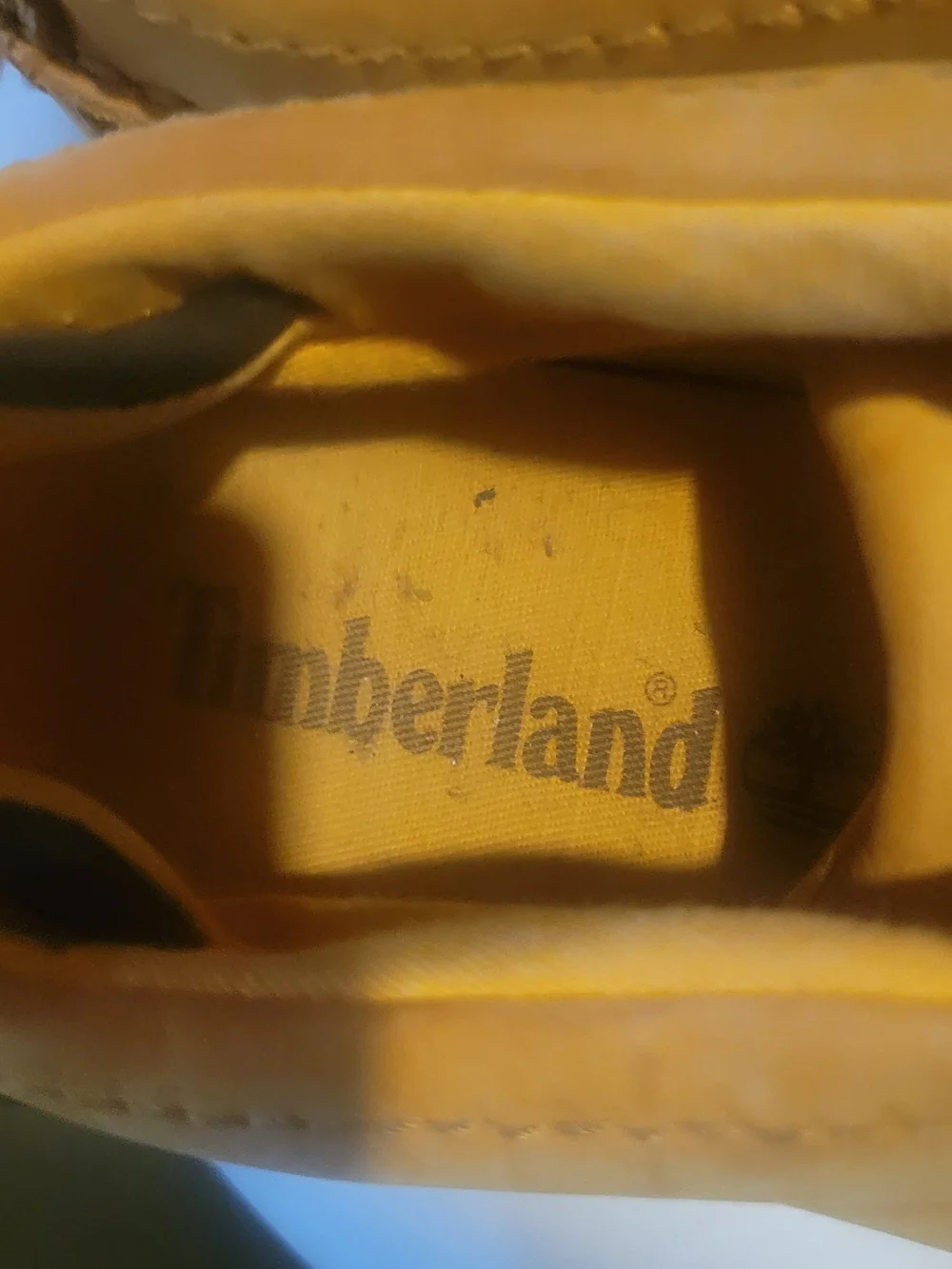 Timberland Men's Chukka Boots in Signature Color